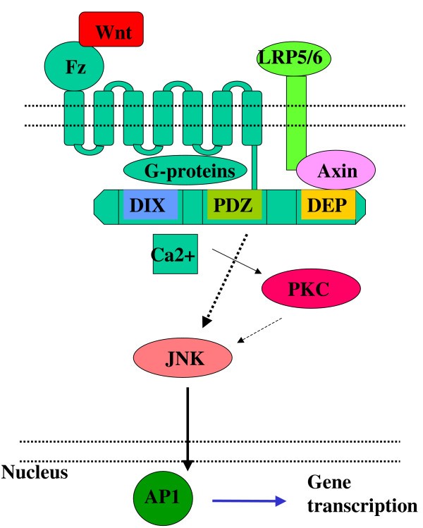 figure 4_406