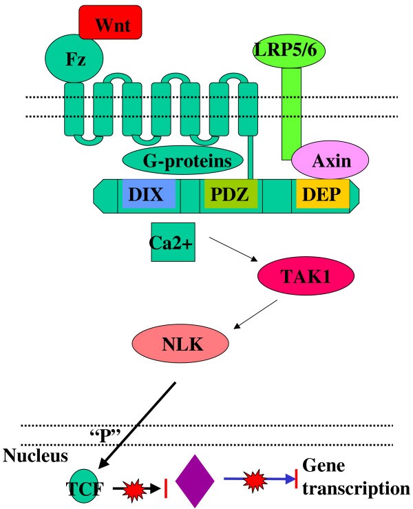 figure 5_406