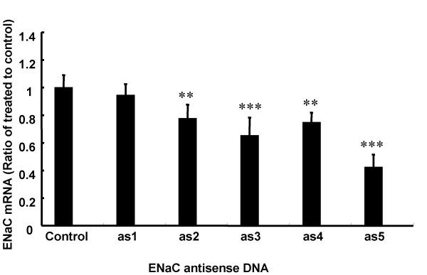 figure 10_417