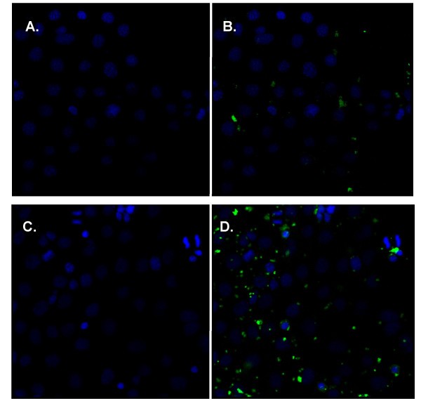 figure 4_417