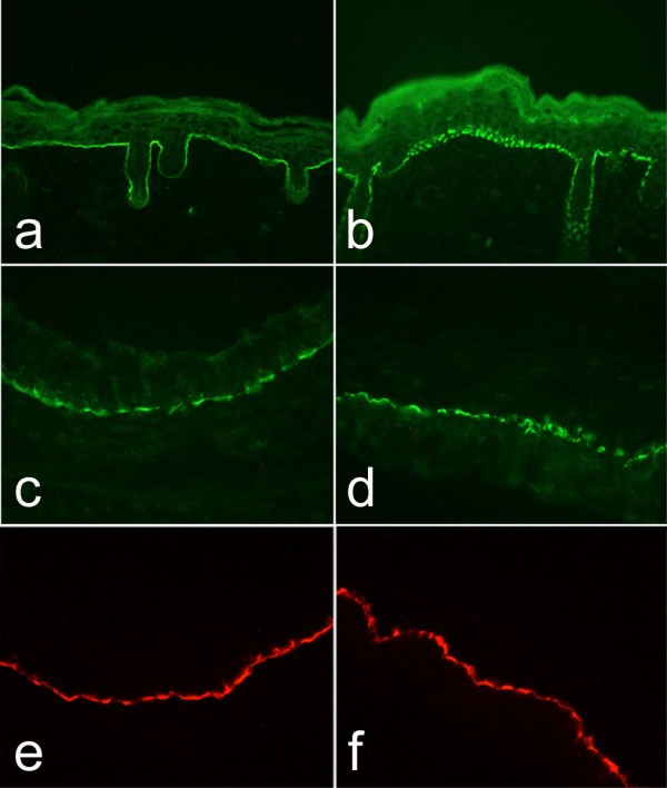 figure 7_419