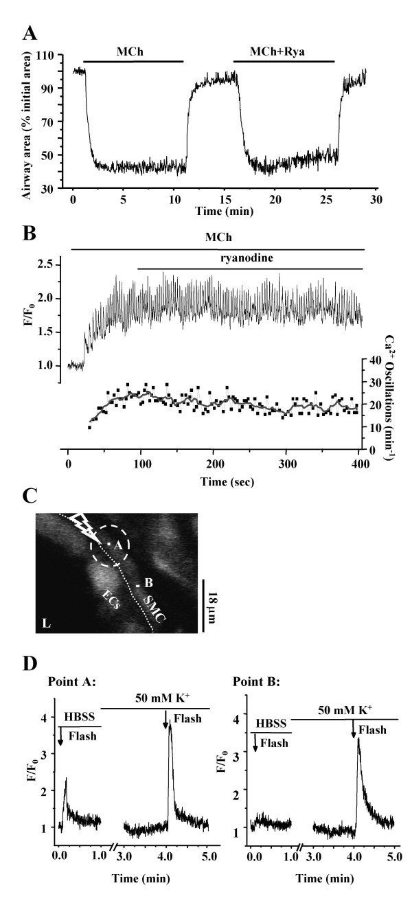 figure 13_425