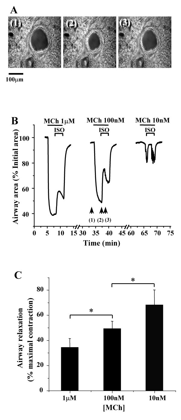 figure 2_425