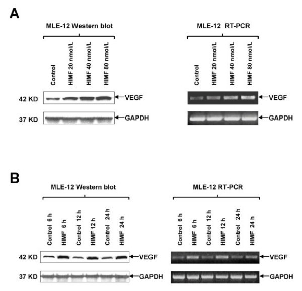 figure 2_428