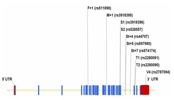 figure 1_482