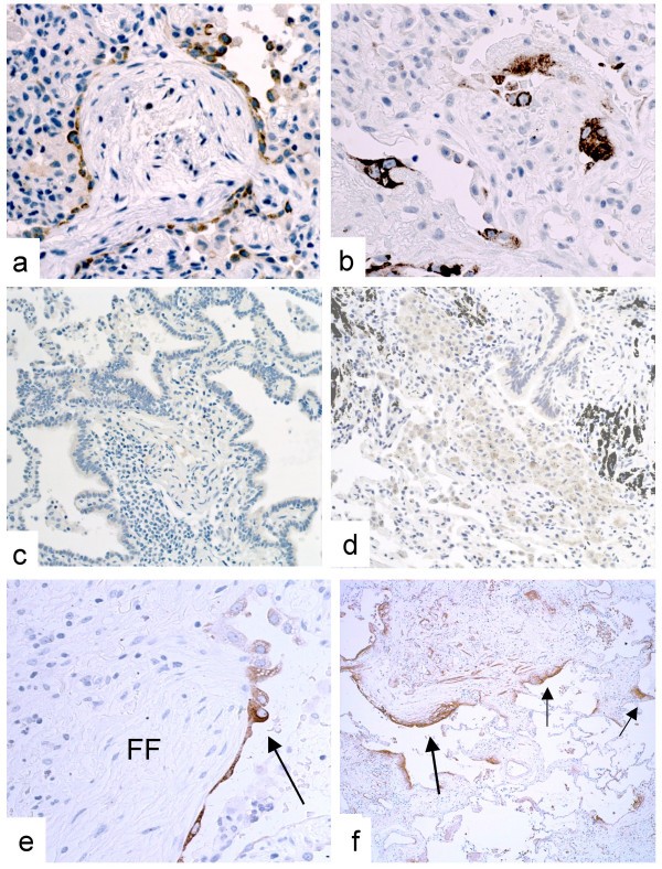 figure 4_486