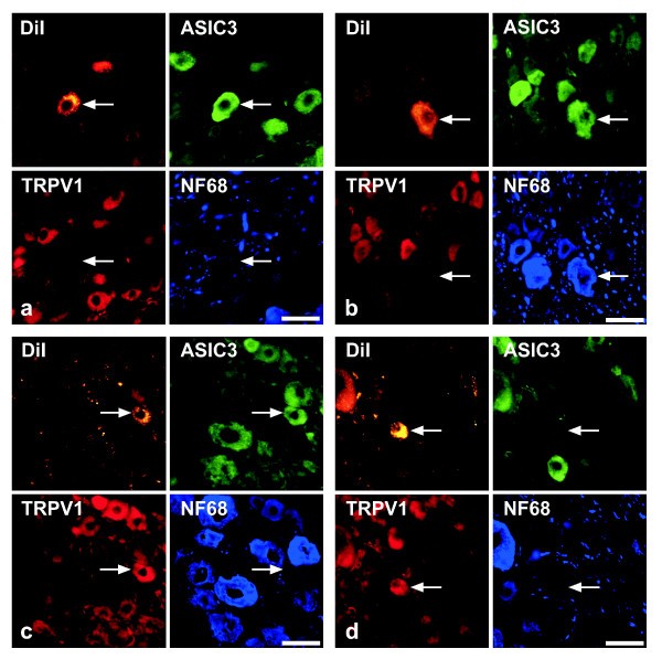 figure 5_487