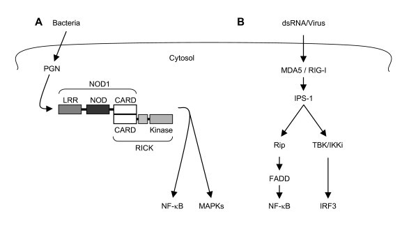 figure 2_488