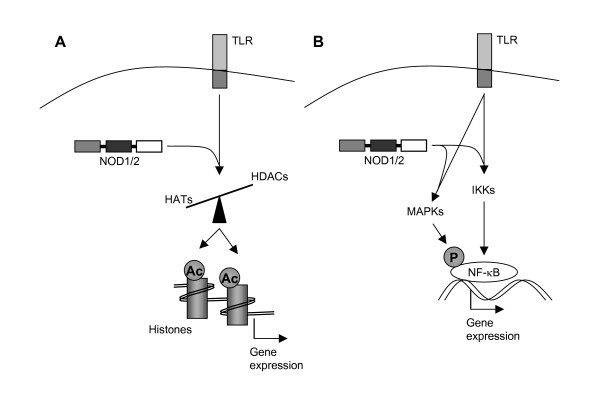 figure 4_488