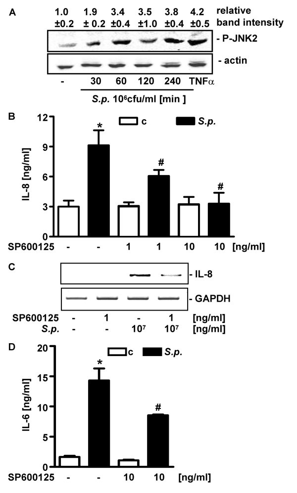 figure 2_489