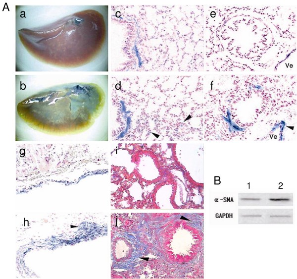 figure 3_539