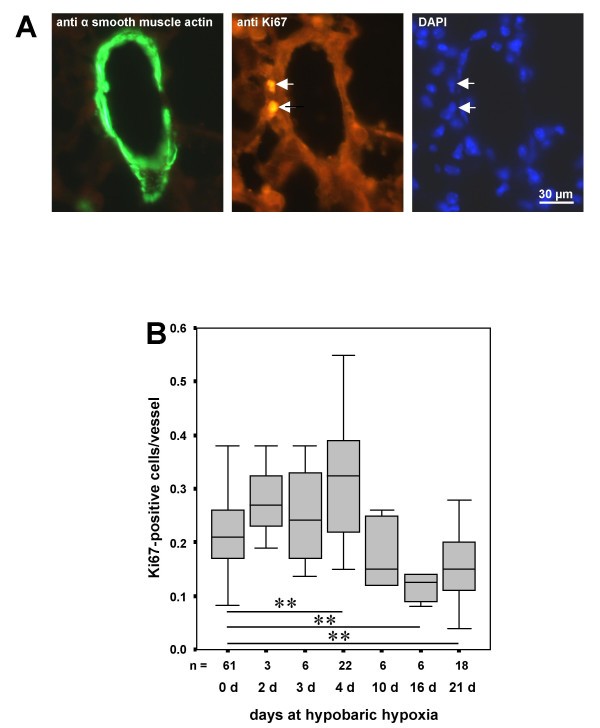 figure 1_553