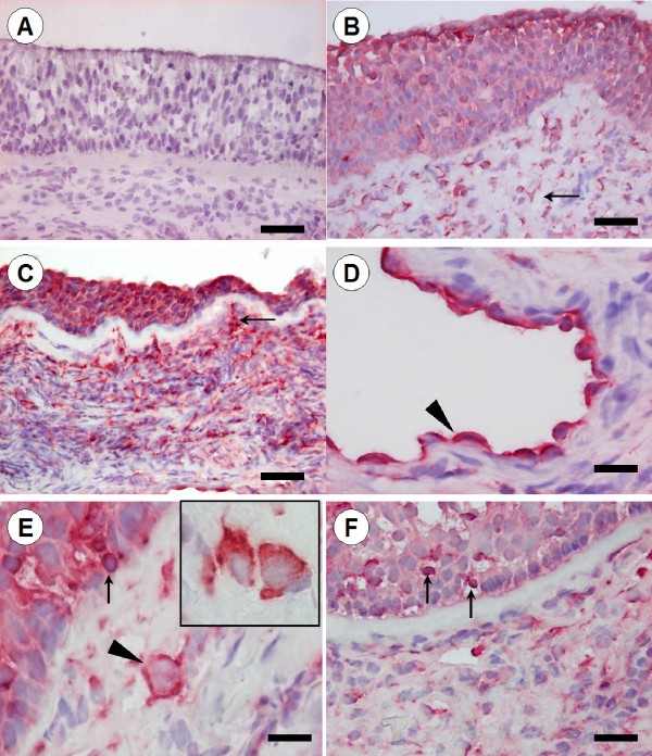 figure 2_555