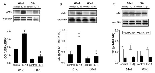 figure 1_565