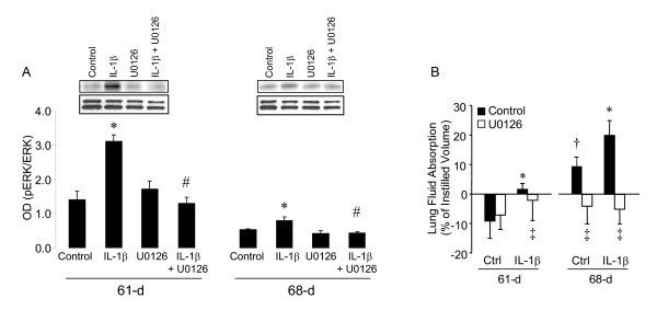 figure 2_565