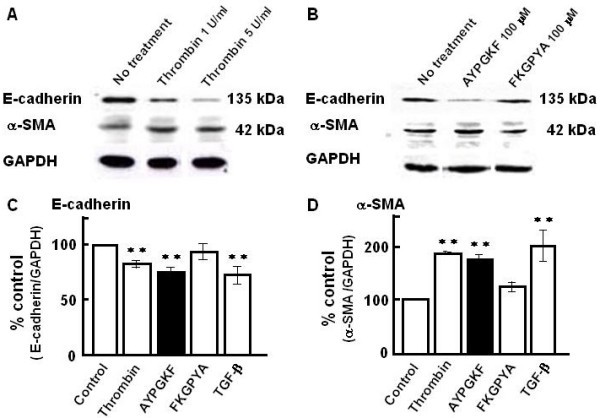 figure 4_569