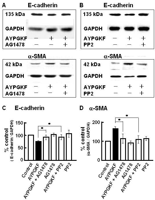 figure 5_569