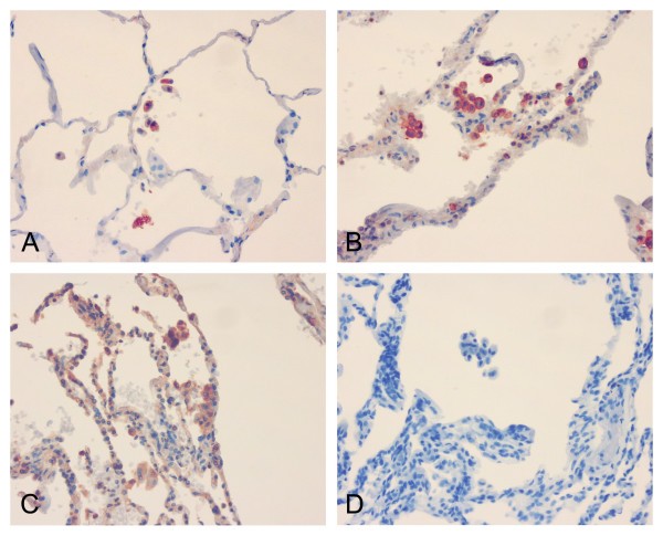 figure 1_586