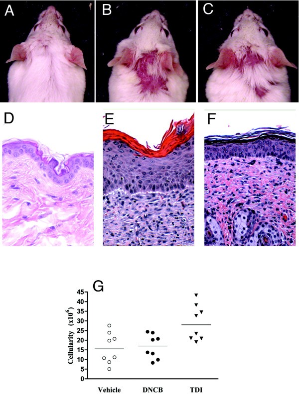 figure 2_594