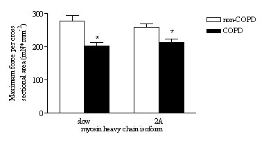 figure 2_643