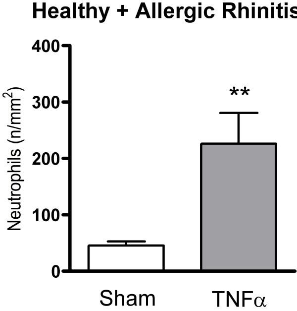 figure 5_646