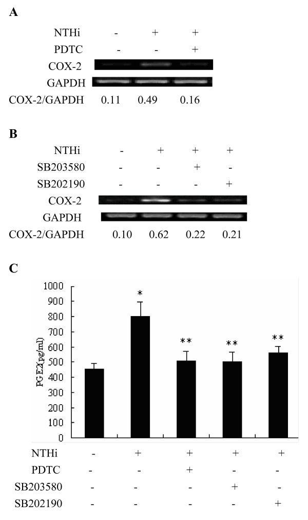 figure 6_647