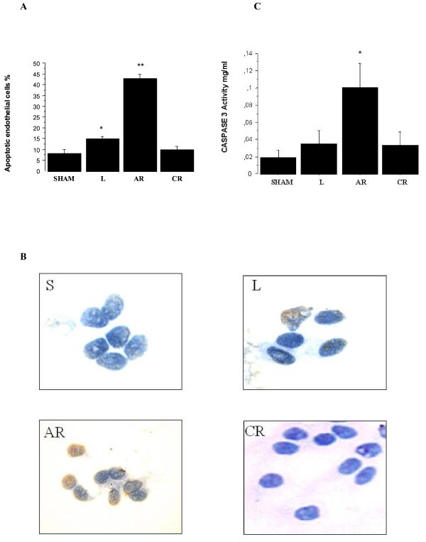 figure 1_650