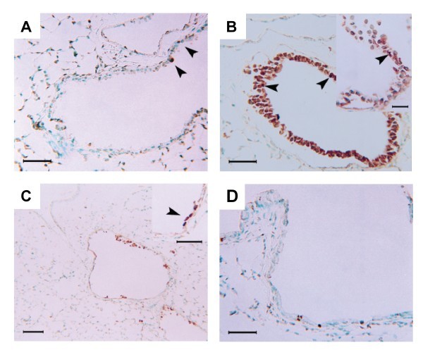 figure 3_692