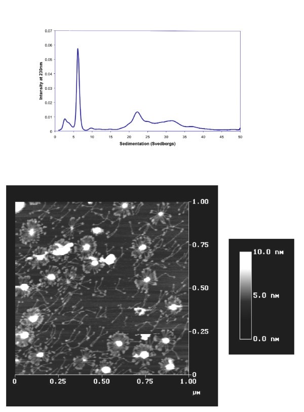 figure 1_696