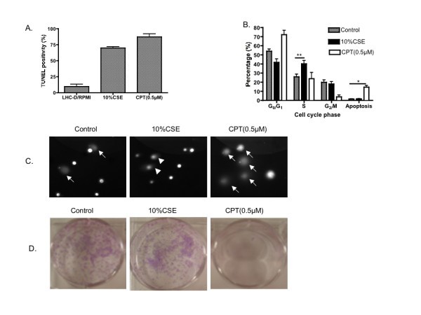 figure 1_697