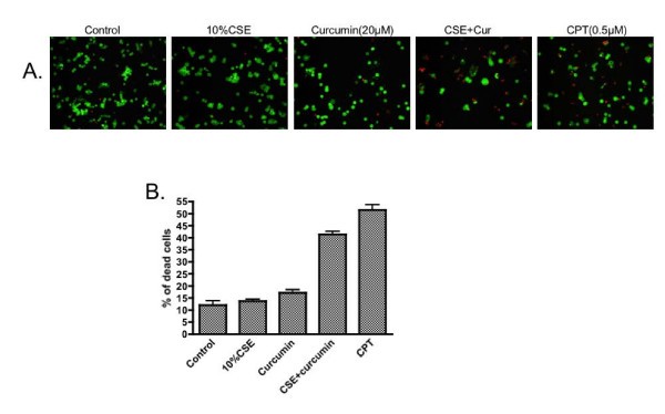 figure 3_697