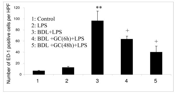 figure 4_700