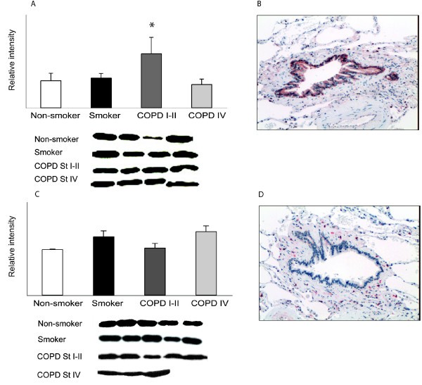 figure 4_711