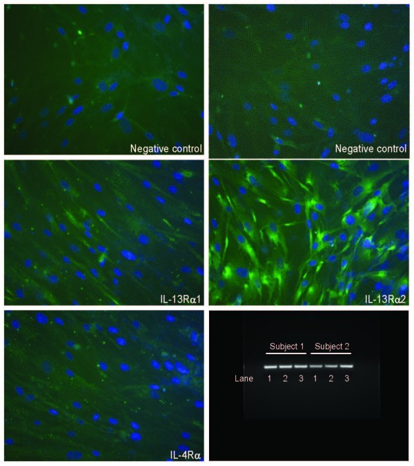 figure 1_715