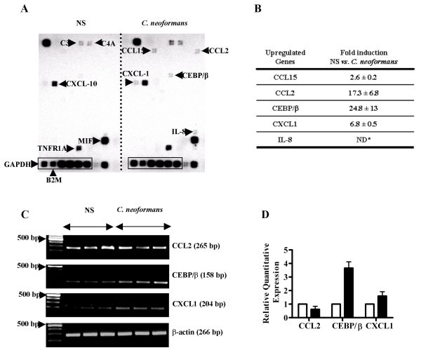 figure 5_640