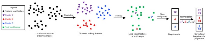 A bag-of-words approach for Drosophila gene expression pattern annotation |  BMC Bioinformatics | Full Text