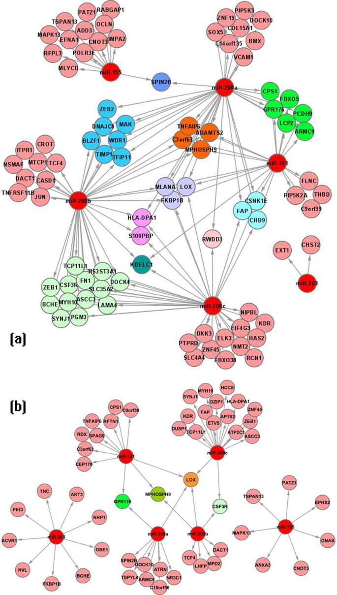 Which of the following best supports the claim that binding of miRNA Delta to the miRNA binding site inhibits translation?