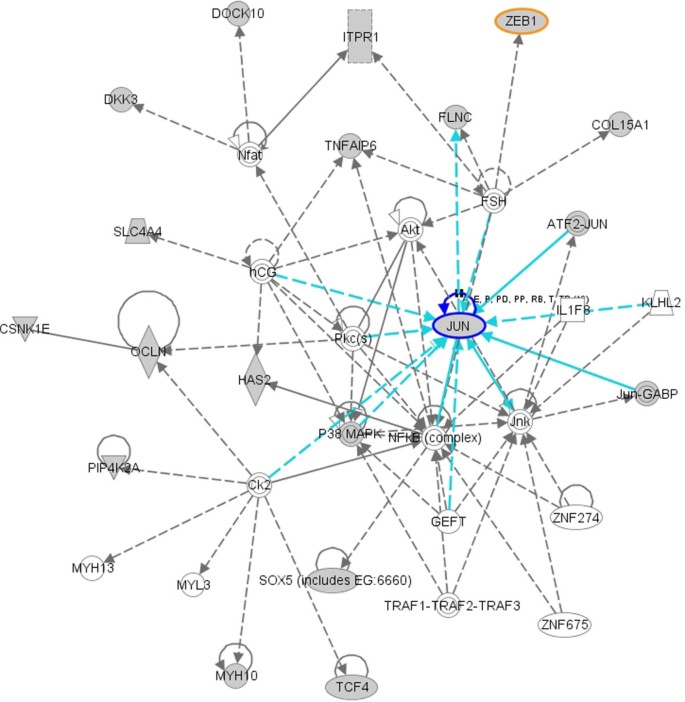 Which of the following best supports the claim that binding of miRNA Delta to the miRNA binding site inhibits translation?