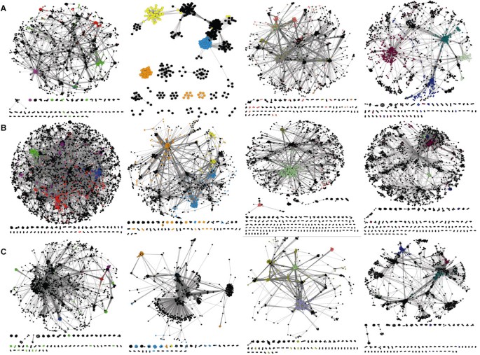 Functional Enrichment Analyses And Construction Of Functional Similarity Networks With High Confidence Function Prediction By Pfp Bmc Bioinformatics Full Text Functional Enrichment Analyses And Construction Of Functional Similarity Networks With High Confidence Function Prediction By Pfp Bmc Bioinformatics Full Text