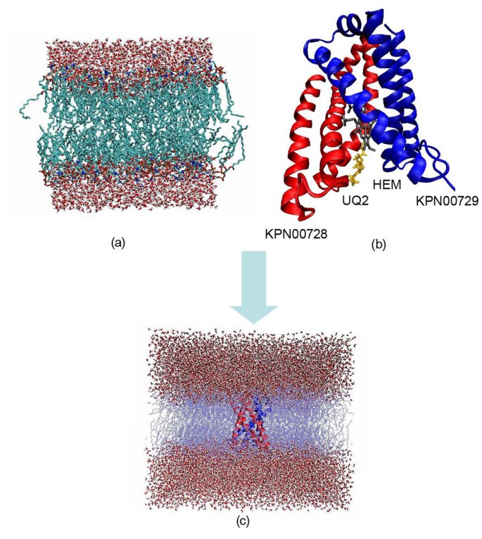 figure 16