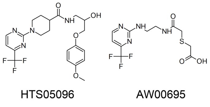 figure 8