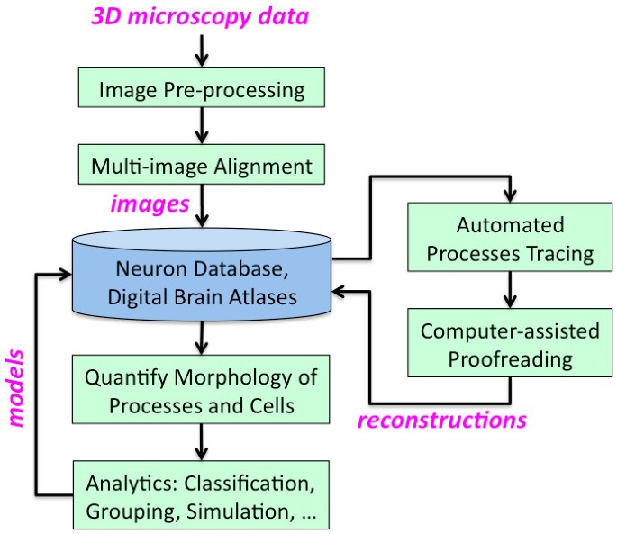 Process tracing