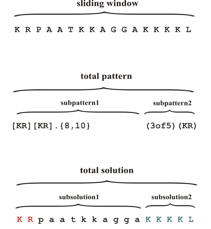 The 3of5 web application for complex and comprehensive pattern matching in  protein sequences | BMC Bioinformatics | Full Text