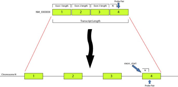 Splicy: a web-based tool for the prediction of possible alternative splicing  events from Affymetrix probeset data | BMC Bioinformatics | Full Text