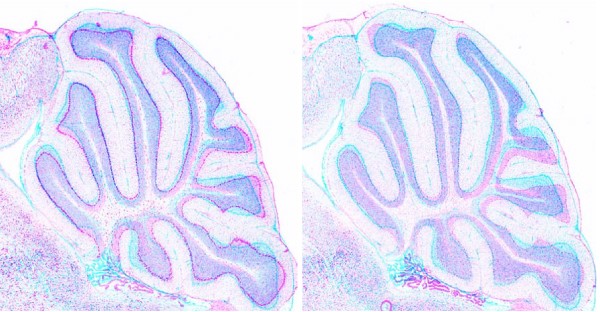 figure 16