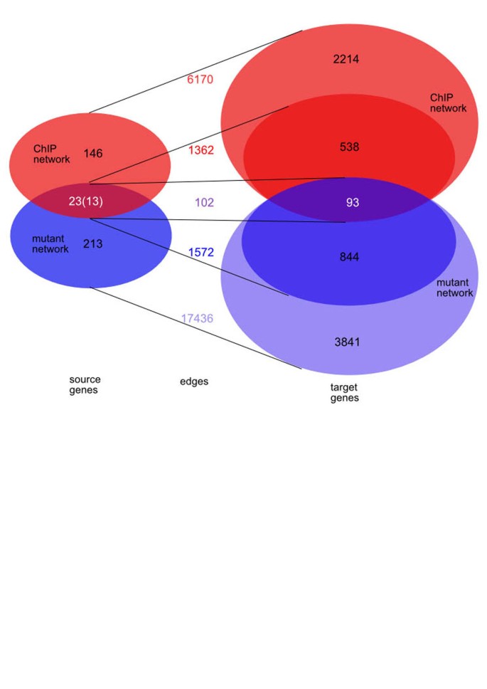 Network-based approaches for modeling disease regulation and