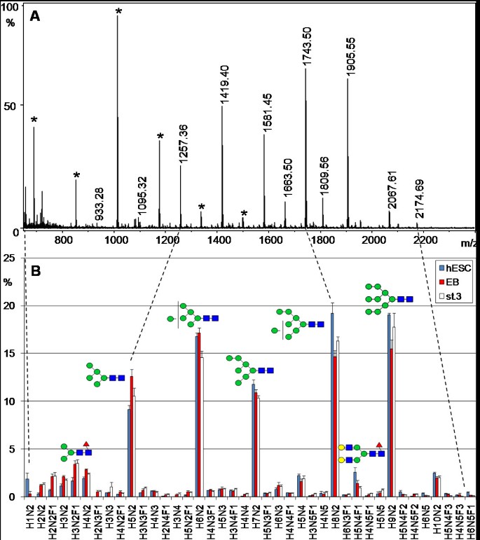 The N-glycome of human embryonic stem cells | BMC Molecular and Cell  Biology | Full Text