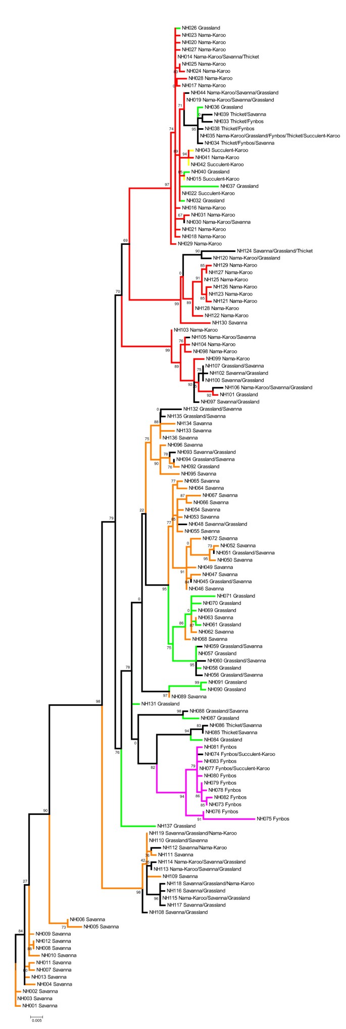 Bioregion heterogeneity correlates with extensive mitochondrial DNA  diversity in the Namaqua rock mouse, Micaelamys namaquensis(Rodentia:  Muridae) from southern Africa - evidence for a species complex | BMC  Ecology and Evolution | Full Text