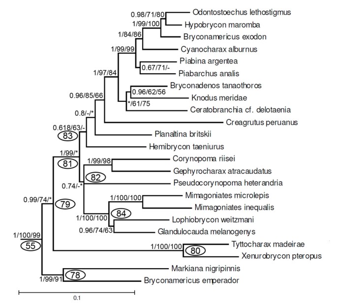 figure 12