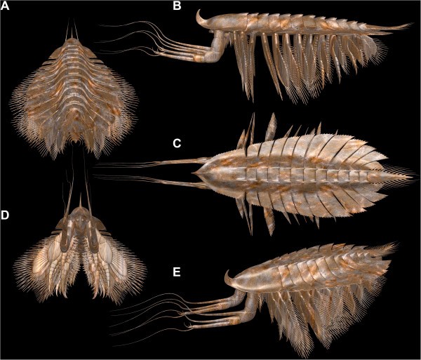 figure 11